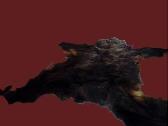 Blana urs originala vintage rustica