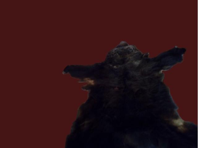 Blana urs originala vintage rustica