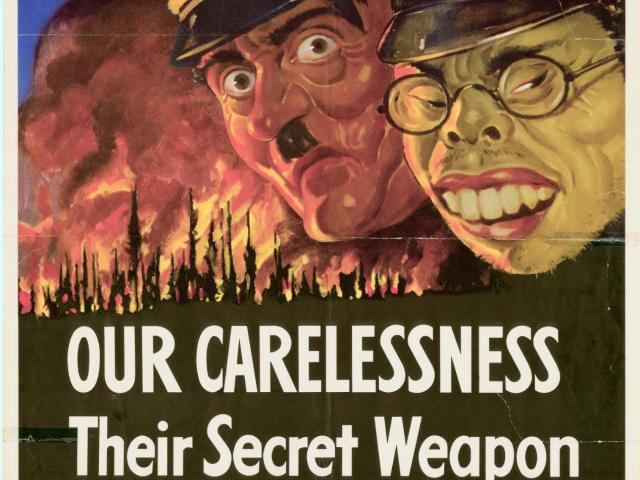 Tablou Poster vintage decoratiuni de epoca originale antichitati