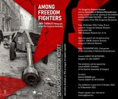 Tablou Poster vintage decoratiuni de epoca originale antichitati obiecte colectie