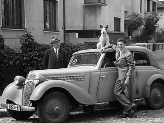 Tablou Poster vintage decoratiuni de colectie obiecte de epoca galerie antichitati