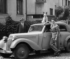 Tablou Poster vintage decoratiuni de colectie obiecte de epoca galerie antichitati