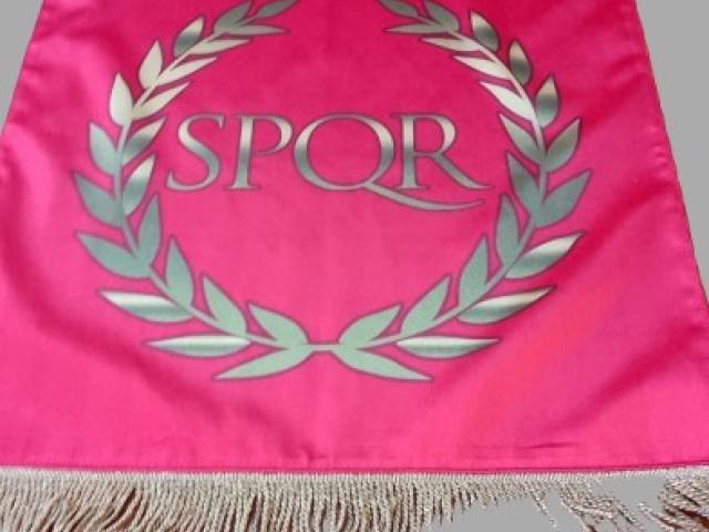 Steag Legiune romana vintage retro galerie antichitati obiecte colectie