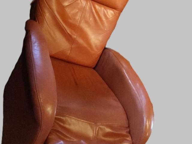 Fotoliu recliner vintage moblier de epoca colectie antichitati