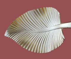 Suport design decoratiuni de colectie vintage obiecte de epoca