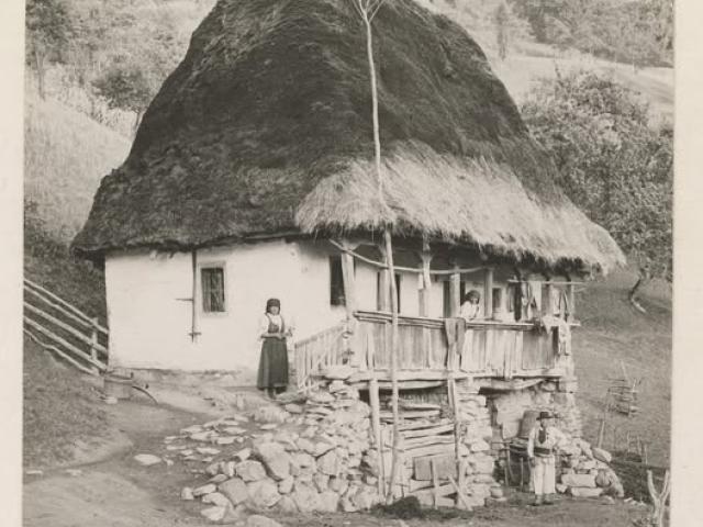 Tablou canvas vintage decoratiuni de epoca obiecte de colectie antichitati