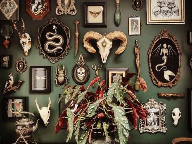 Decor coarne vintage decoratiuni de colectie decor lux de epoca antichitati