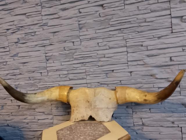 Decor coarne vintage decoratiuni de colectie decor lux de epoca antichitati