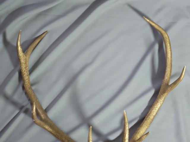 Coarne Cerb autentice decoratiuni vintage antice obiecte de colectie antichitati