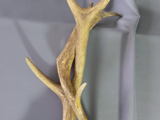 Coarne decoratiuni rustice antice vintage retro obiecte de colectie antichitati